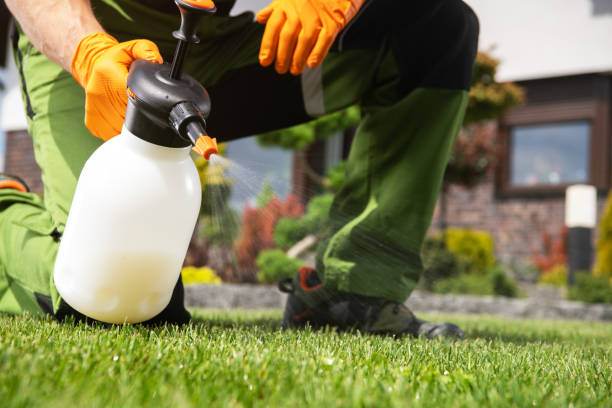 Best Pest Inspection Near Me  in Maben, MS